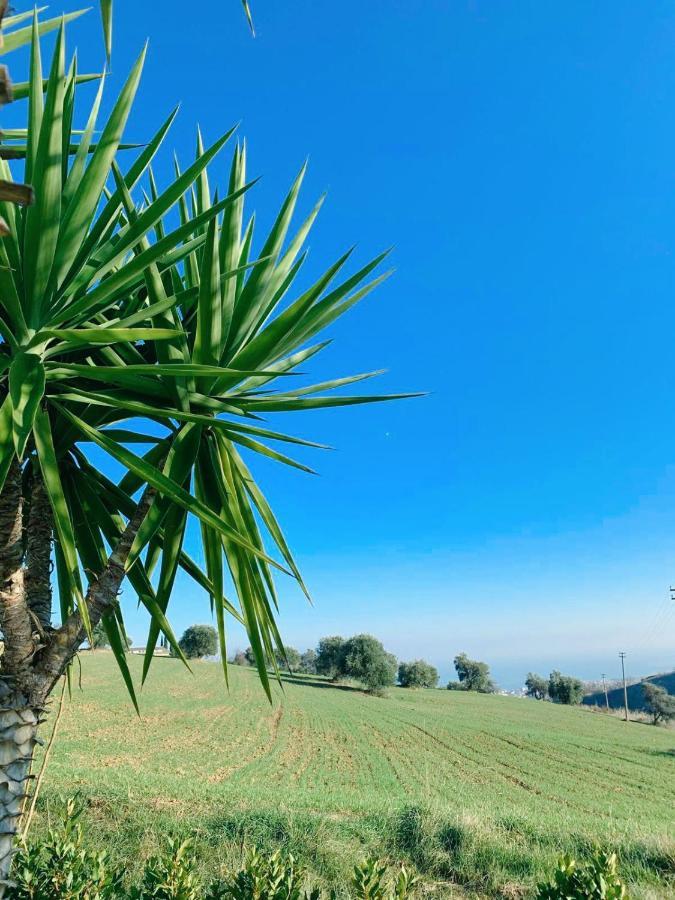 Locanda Zona Franca Otel San Benedetto del Tronto Dış mekan fotoğraf
